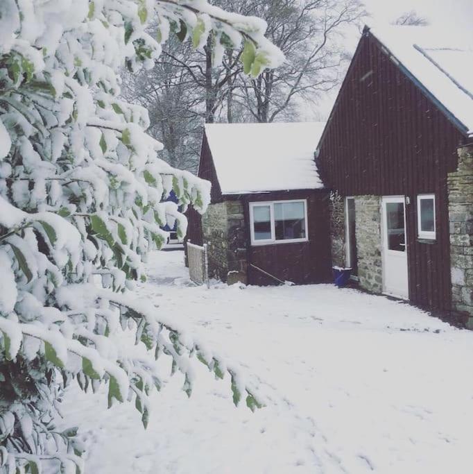 Y Boidy Bach Llangranog Exterior foto