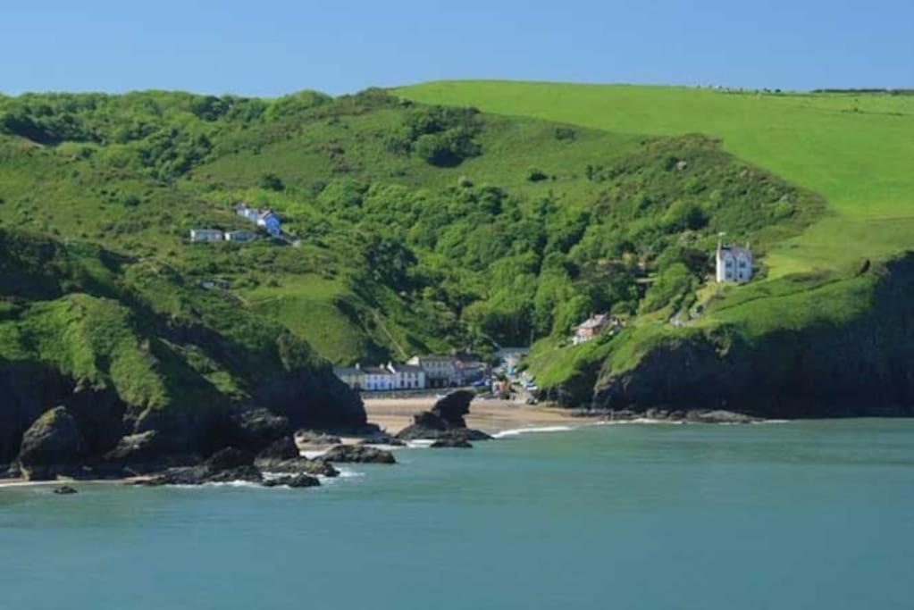 Y Boidy Bach Llangranog Exterior foto