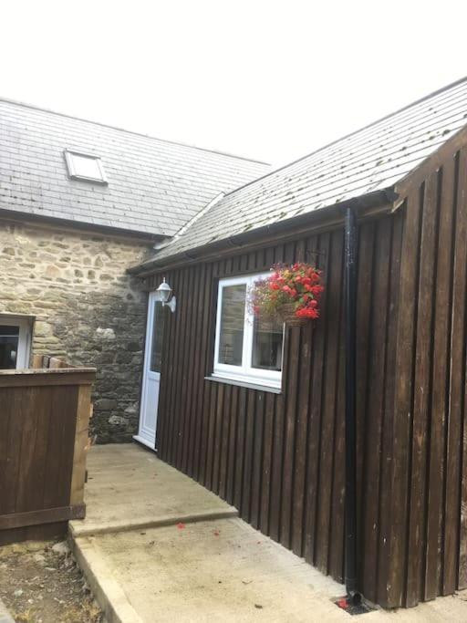 Y Boidy Bach Llangranog Exterior foto